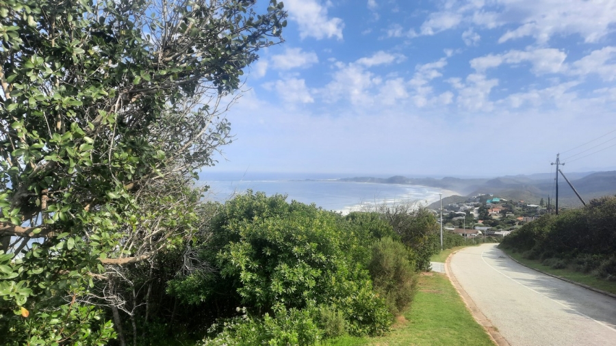 0 Bedroom Property for Sale in Brenton On Sea Western Cape